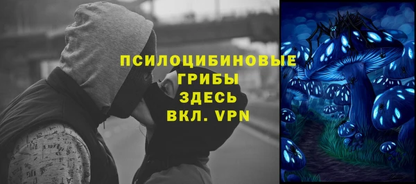 Альфа ПВП Заволжск