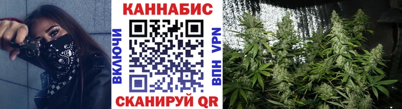 Канабис планчик Купить Прохладный
